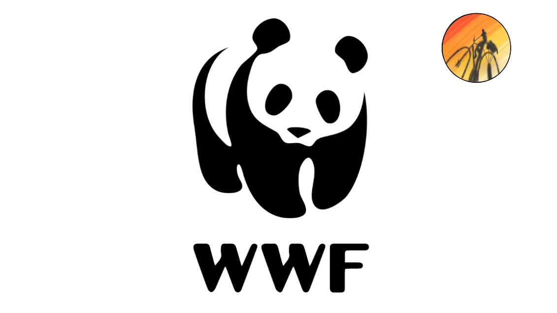 The WWF